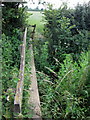 Footpath to North Marston over a brook