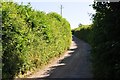 West Dorset : Sea Hill Lane