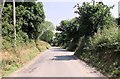 Betws Ifan road approaching wooded area