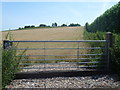 View from the Saxon Shore Way near Cooling