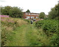 Walking the dogs near Wells Close, Newport