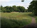 Meadow in Rouken Glen Park