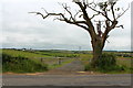 Farm Track near Burnton