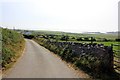 Lane to Porth Cwyfan