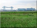 (Part of) the RSPB Salthome Reserve