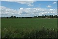 Farmland by Spinney Lodge