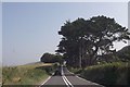 A487 approaching Brynawelon