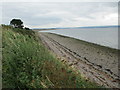 Fortrose shoreline