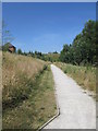 Footpath - Buttercup lane