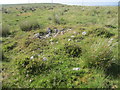 Bancbryn Cairn Cemetery, Clearance Cairn