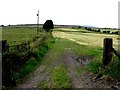 An open field, Meenacrane