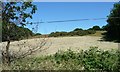TQ8730 : Hay field between Foxbury and Gazedown Woods by Christine Johnstone