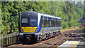 Train, Dunmurry station (2013-2)