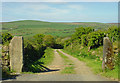 Track near Kilkiffeth, Llanychaer