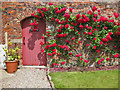 SE9364 : Roses round the door by Pauline E