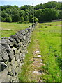 Flag stones on Hebden Royd FP114