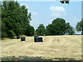 Mown and baled hay