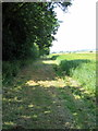 Path by the covert towards Olney