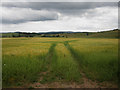 NU0130 : Arable land east of Weetwood Hall by Graham Robson