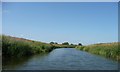 TQ8326 : River Rother, upstream of Newenden Bridge by Christine Johnstone