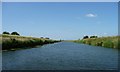 TQ8126 : Straight stretch of the River Rother by Christine Johnstone