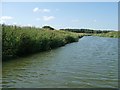TQ8025 : Looking upstream along the River Rother by Christine Johnstone