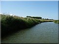 TQ7825 : South bank, River Rother by Christine Johnstone