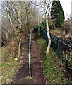 Steps up to a path into Millrough Wood, Lydney