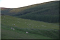 Valley of Hole Burn from Glenhead Farm