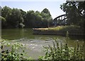 River Avon and The Feeder