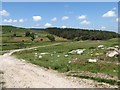 Leitrim Lodge Woods viewed across the valley of the Shankys River