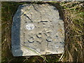 NT7277 : Coastal East Lothian : Marked Stone Near Barns Ness Lighthouse by Richard West