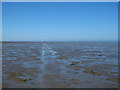 TQ9988 : The Broomway by Roger Jones