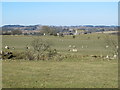 Farmland east of Cocklaw