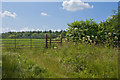 SD8149 : A field gate by Ian Greig