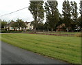 Seawall Road houses, Goldcliff