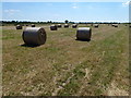 TL4580 : Rolls of hay off Mepal Road by Richard Humphrey