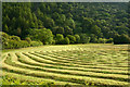 NY1716 : Cut grass at Buttermere by Trevor Littlewood