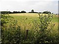 Roscavey Townland