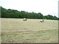 Farmland, Heath Farm