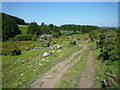 Track towards Withey Brook from Trewortha