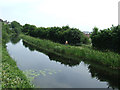 The Forth & Clyde Canal