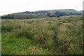 Footpath to Clough