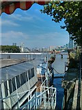 TQ2977 : River Thames viewed from Battersea Barge by PAUL FARMER