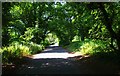 Titton Lane, near Hartlebury, Worcs