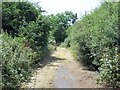 Loop of abandoned road