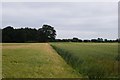 Farmland opposite White House Farm