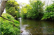M7208 : Duniry River, near Duniry, Co. Galway by P L Chadwick