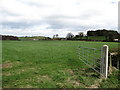 Farmland south-west of Annahinchigo Lake 