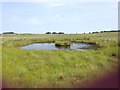 NY4131 : Drainage pond, Gillcambon by David Brown